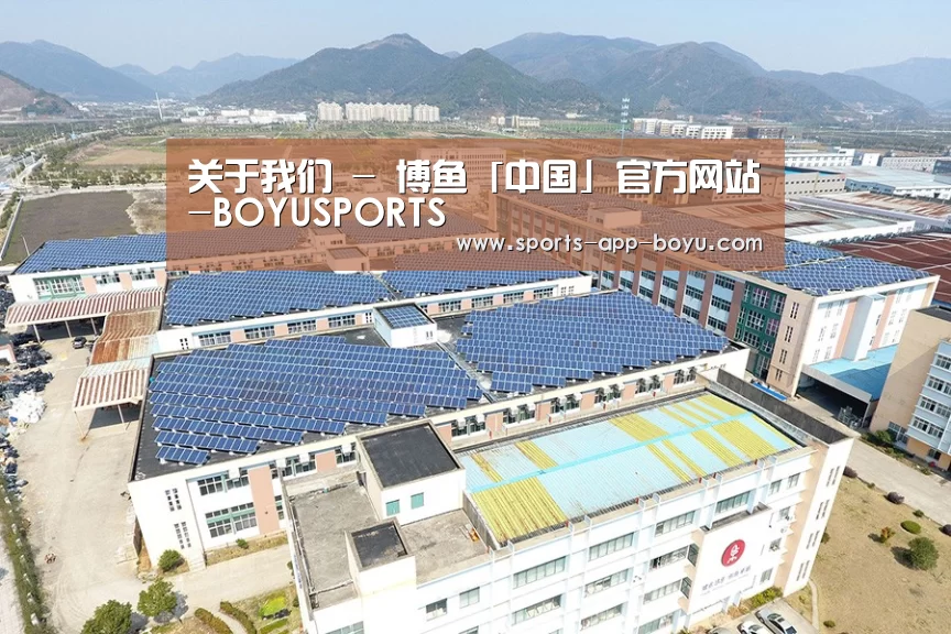 案例展示二