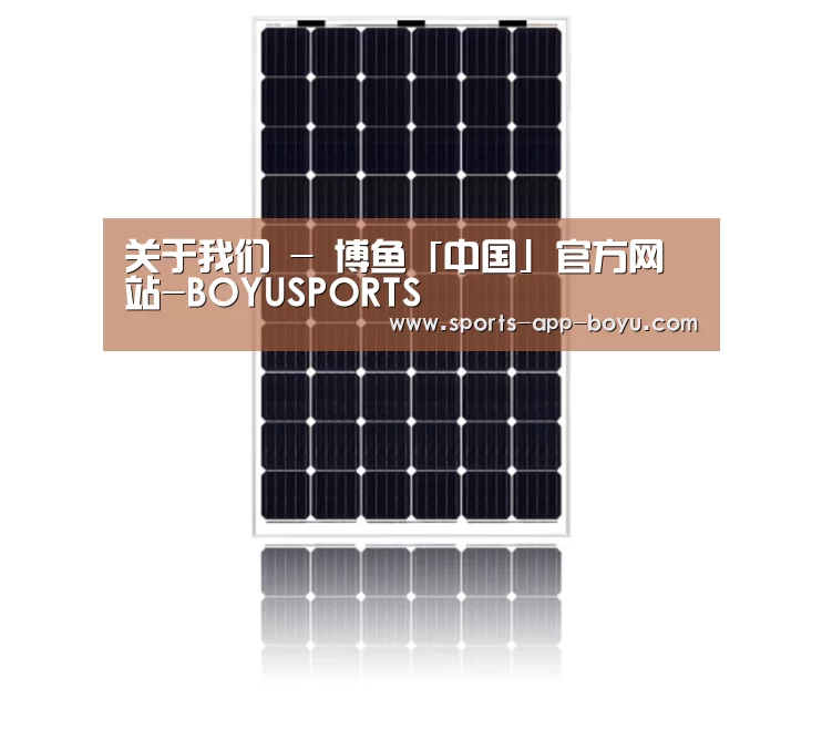 产品名称六