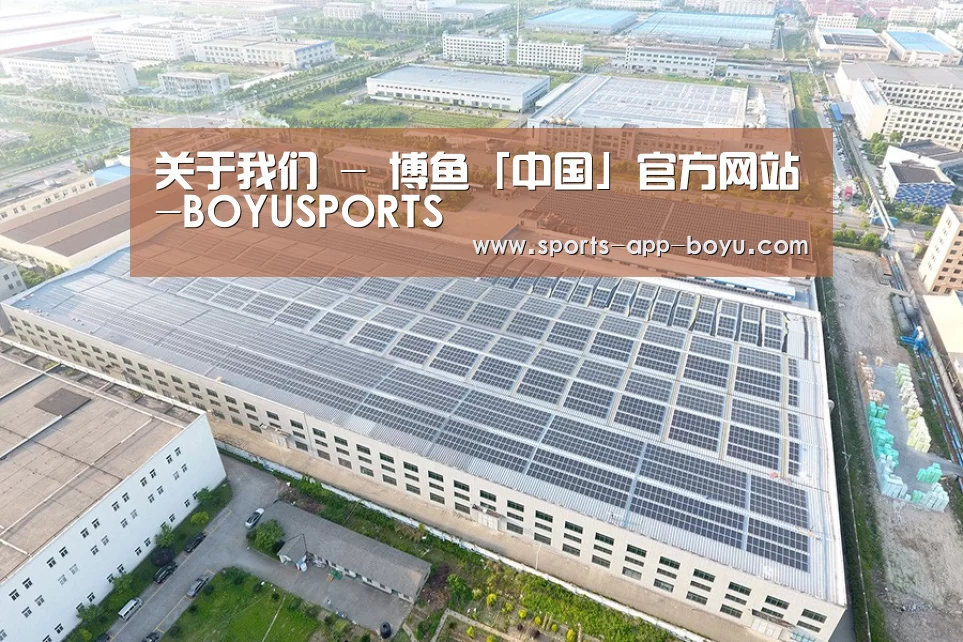 案例展示二