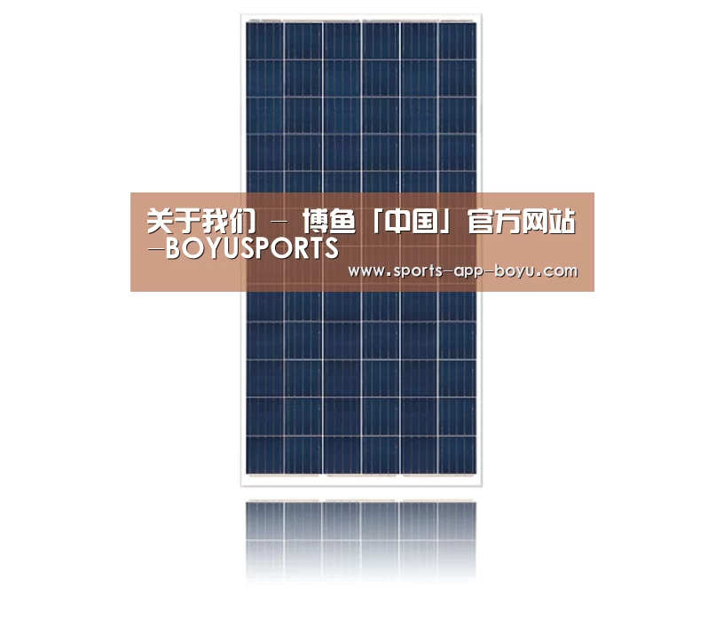 产品名称一