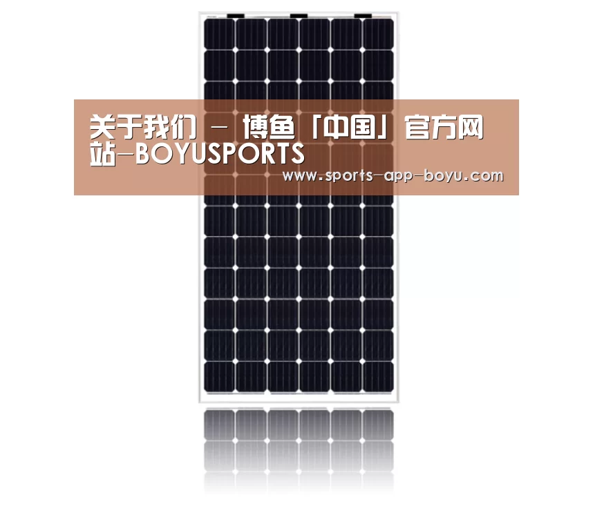 产品名称五