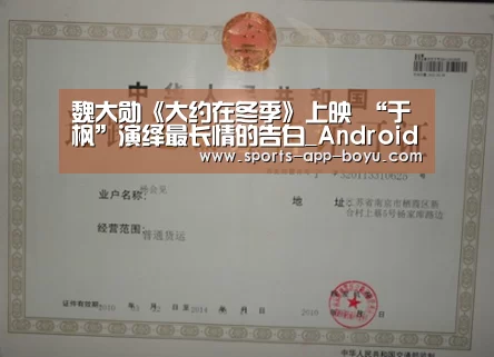 博鱼体育APP